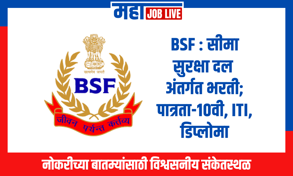 BSF : सीमा सुरक्षा दल अंतर्गत मोठी भरती; पात्रता 10वी/12वी/पदवी/ITI/नर्सिंग/डिप्लोमा